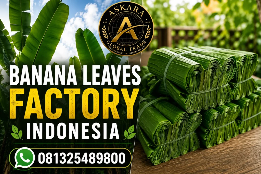 banana-leaves-factory-indonesia