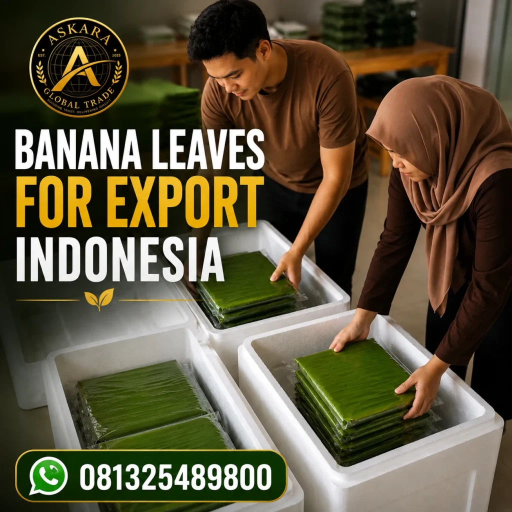 banana-leaves-for-export-indonesia