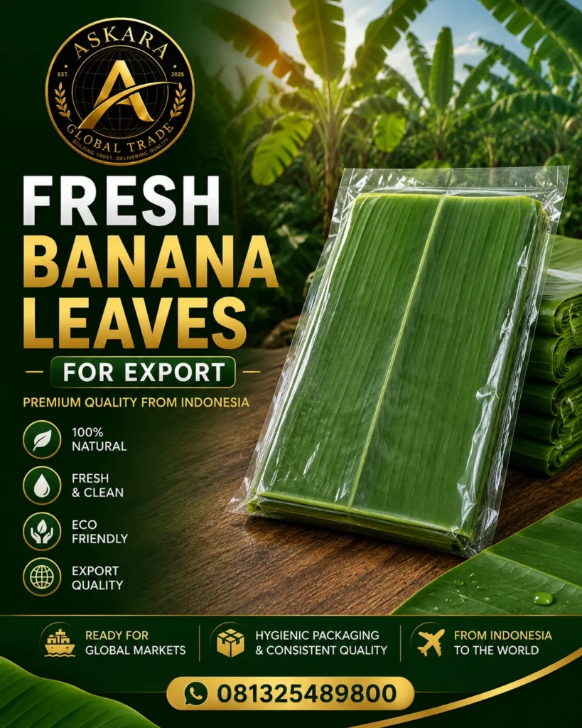 fresh-banana-leaves-for-export
