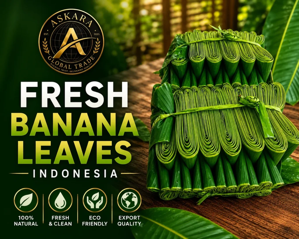 fresh-banana-leaves-indonesia