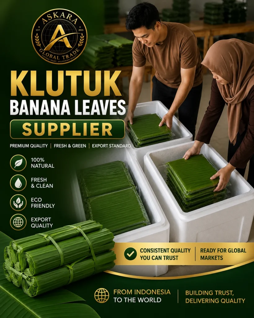 klutuk-banana-leaves-supplier